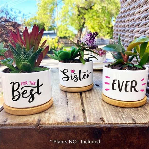 Pretty Sister Gift,Our Best Sister Ever Pots are Beautiful Gifts for Mothers Day - Picture 5 of 6